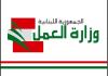 محاضر ضبط في حق صاحب مطعم في صيدا لمخالفته أصول استخدام العاملين الأجانب
