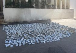بالصور : الجيش اللبناني يوقف 10 أشخاص نتيجة التدابير الأمنية ويضبط أسلحة وذخائر حربية وكمية كبيرة من المخدرات