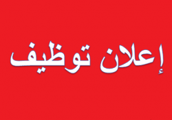 مطلوب شاب أو صبية لديهم خبرة في السوشيال ميديا للعمل في صيدا