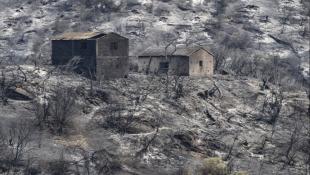 69 قتيلاً في حرائق الغابات في الجزائر جهود إطفاء النيران مستمرة وحداد وطني
