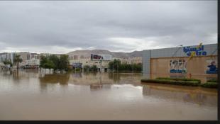 لجنة الطوارئ في سلطنة عمان: سبع وفيات جديدة جراء العاصفة "شاهين"