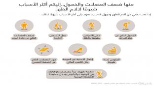 7 أسباب من الأكثر شيوعًا لحدوث آلام الظهر..ما هي؟