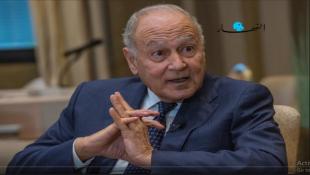أبو الغيط من بعبدا: وجدتُ تصميماً لدى عون للمضي في الانتخابات لاستقرار لبنان واستعادة أوضاعه