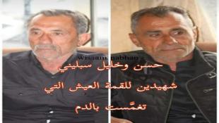 جنوب لبنان : مصرع أخوين من ال السبليني في السكسكية بانفجار مواد لصيد السمك