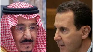 أوراق الأسد المفيدة في لبنان