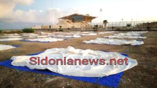 بالفيديو وبالصور: بلدية صيدا والهيئات الإغاثية لا تلام فلا توجهوا إليها السهام  ! | برافوا للحكومة إنجاز إزالة الخيم ونسأل هل قدمت كسرة خبز لنازح وجبرت خاطره؟