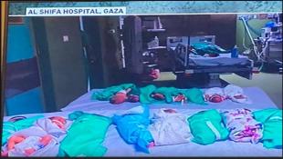 وفاة 6 أطفال خُدّج و9 مرضى في قسم العناية بمستفشى الشفاء... ومستشفات غزّة خارج الخدمة
