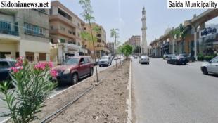 بالصور : د. بديع:  نحضر لإستكمال إعادة  تأهيل وصيانة مستديرات ووسطيات في صيدا بعد إنجاز وسطية شارع حسام الدين الحريري