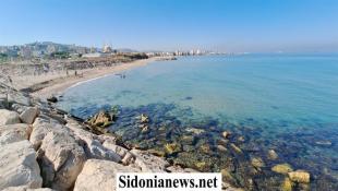 بالفيديو : أبطال الكاراتية في نادي الهدى - حارة صيدا في رحاب مدينة الرئيس رفيق الحريري الرياضية في صيدا - مسير وتدريبات