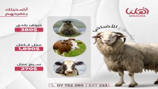 تحت شعار أضحيتك بتفرحهم : جمعية أهلنا - صيدا تطلق مشروع أضاحي  العيد للعام 2024  وتوجه الدعوة لأهل الخير للمساهمة