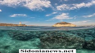 بالصور : ربيع العوجي : حديقة صيدون المائية إنجاز كبير لصيدا تساهم في تعزيز  رياضة الغوص وحماية الثروة السمكية وتحمي الأنواع البحرية