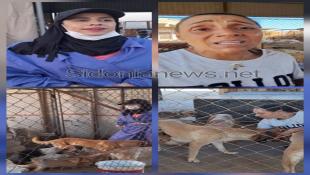 بالفيديو وبالصور: الناشطتان لوسيا البابا وهبة عامر تطلقان نداء ً عاجلا من حظيرة الكلاب الشاردة الأولى في صيدا  للمساعدة