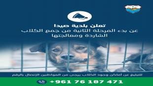 لجنة الصحة في بلدية صيدا برئاسة د. تيسير بلال الزعتري  تحضر لإنطلاق المرحلة الثانية في مشروع مأوى الكلاب الشادرة في المدينة