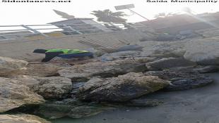 بالصور: بلدية صيدا تتابع خطة لجنة البيئة في البلدية وتنظم لليوم الثالث حملة نظافة  في مرفأ الصيادين ومحيط القلعة البحرية وتشكر شركتي  NTCC و IBC