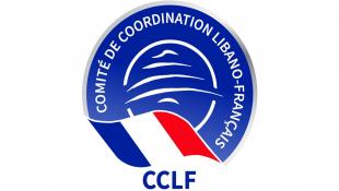 لجنة التنسيق اللبنانية – الفرنسية في رسالة إلى الحكومة ومجلس النواب: مشروع قانون الفجوة المالية وعود إيجابيّة في غياب المصداقيّة والعدالة