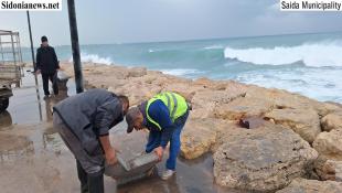 بالصور: بلدية صيدا أزالت أضرار العاصفة في مدينة الرئيس الشهيد رفيق الحريري الرياضية ورفعت مقاعد المتنزهيين كإجراء إحترازي